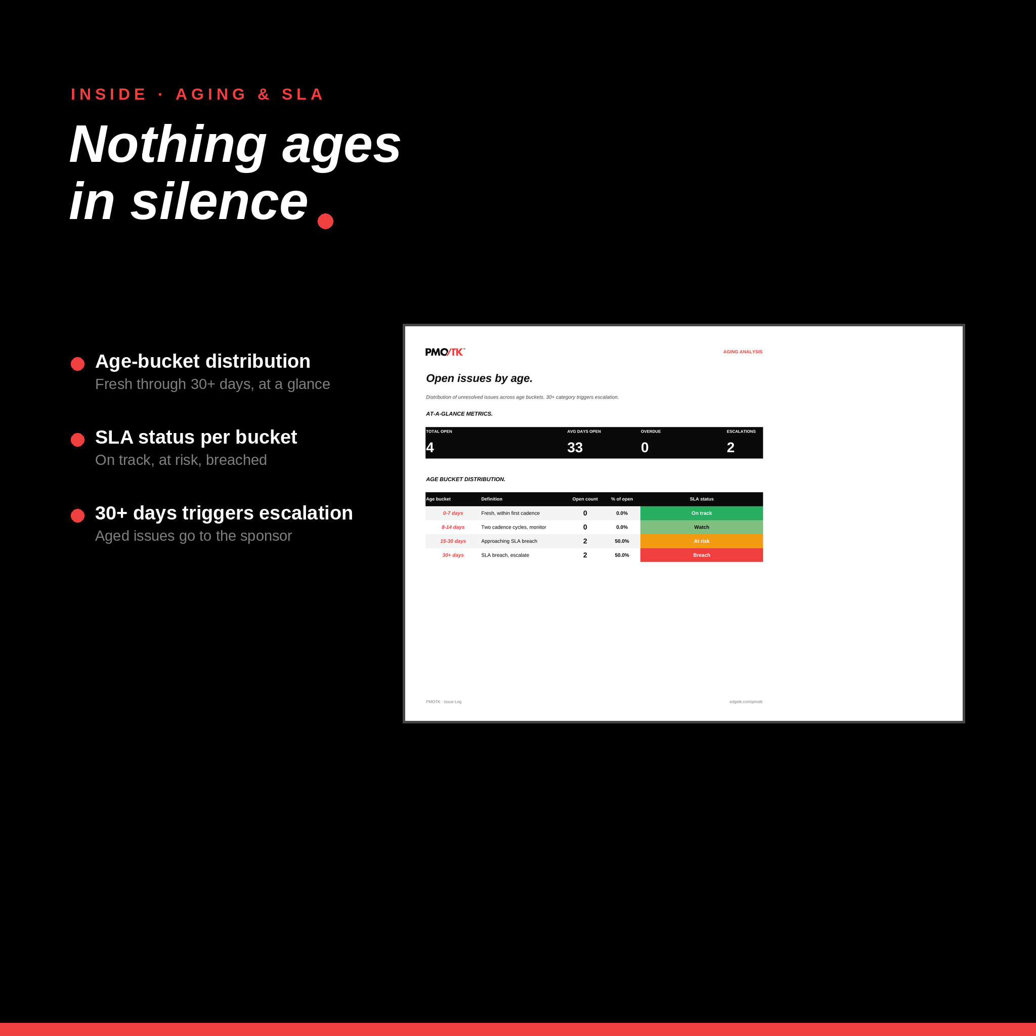 Issue Log Template