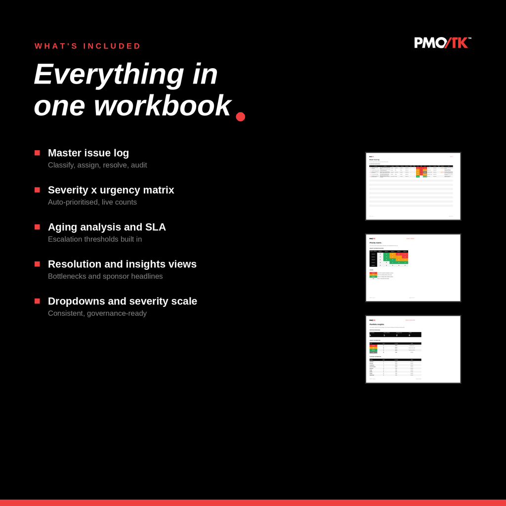 Issue Log Template