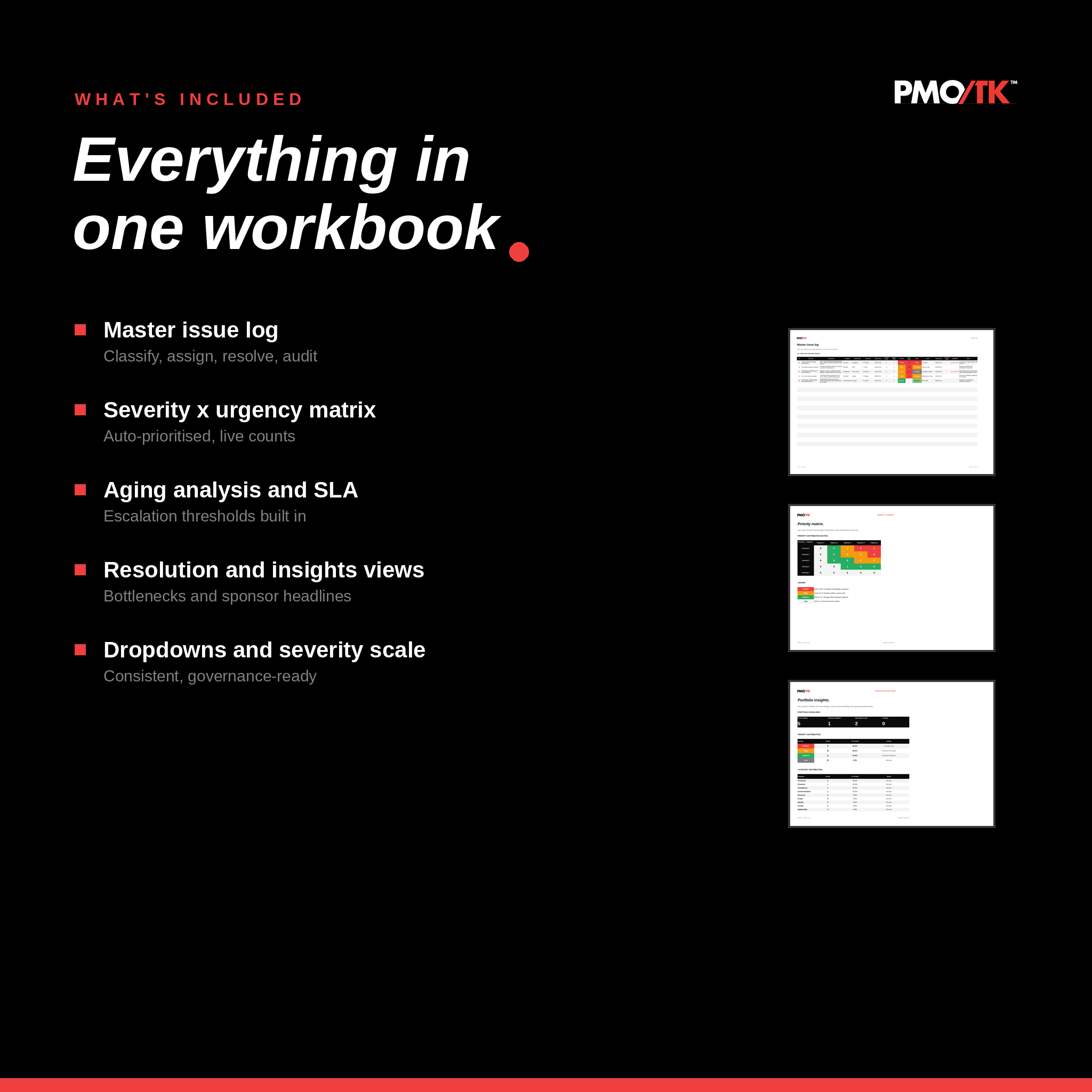 Issue Log Template